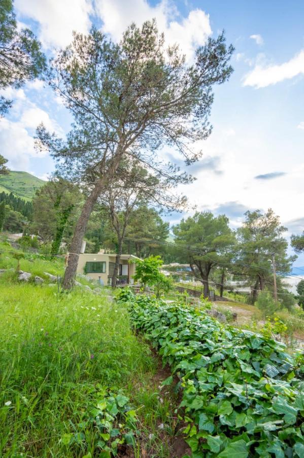 Вилла Among The Trees Shiroka Экстерьер фото